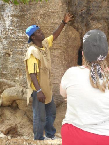 le plus vieux baobab du Sénégal (2)